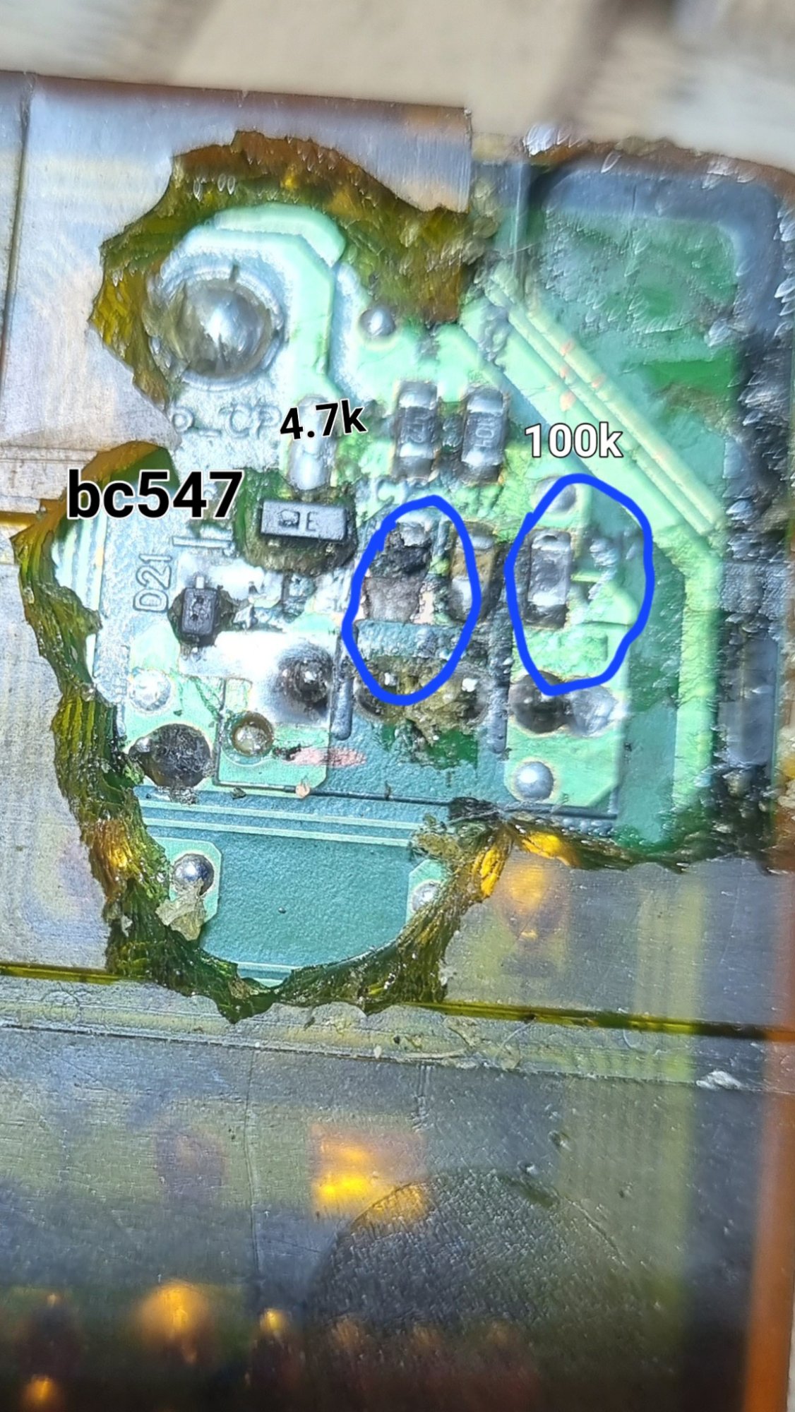 1000011308.jpg