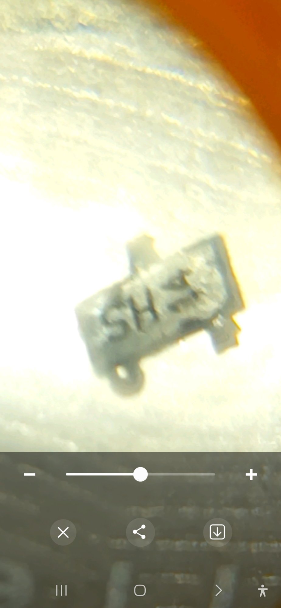 1000137860.jpg
