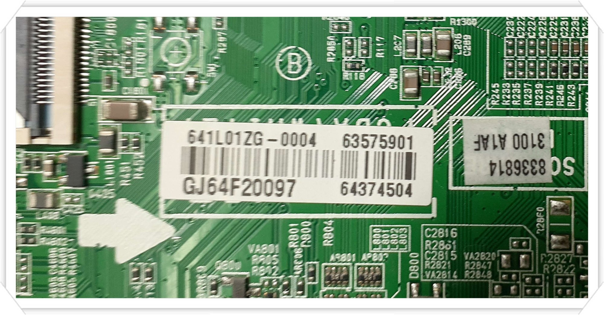 Chassis Label.jpg
