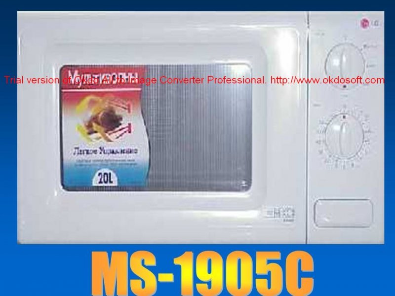 MICRO  MODEL 1.jpg