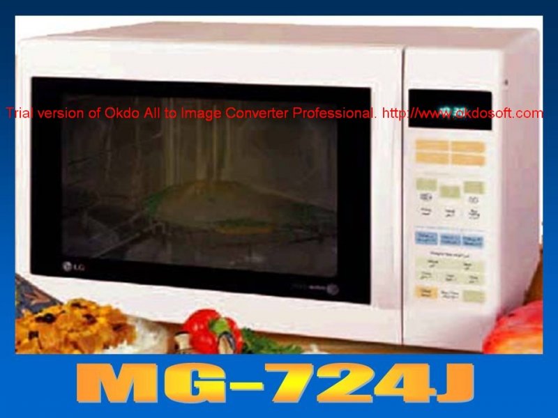 MICRO  MODEL 11.jpg