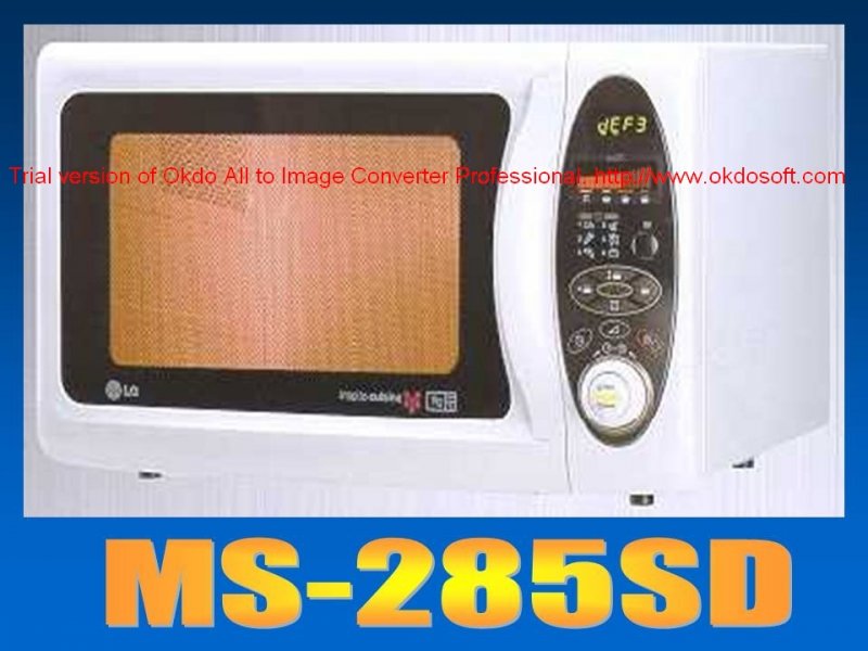 MICRO  MODEL 2.jpg