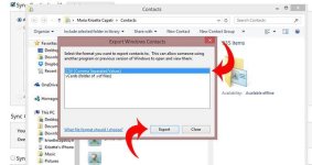 exportiPhonecontacts-choosecsvfileexport.jpg