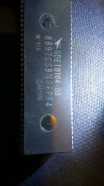 IMAG0209.jpg