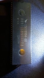 IMAG0210.jpg
