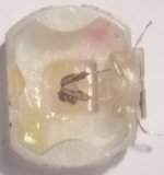 ۲۰۲۲۰۵۲۹_۱۳۳۲۵۳.jpg ۲۰۲۲۰۵۲۹_۱۳۳۲۵۳.jpg