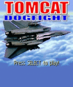 Tomcat_Dogfight.gif