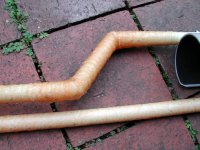 Coilstem3.jpg