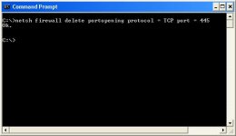 netsh firewall delete portopening protocol.JPG
