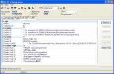 Bascom config m32.jpg