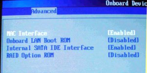 bios_sata_interface_enabled[1].jpg